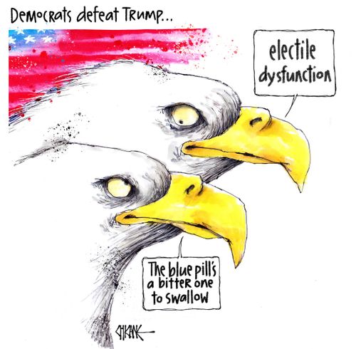 Democrats Defeat Trump. . .