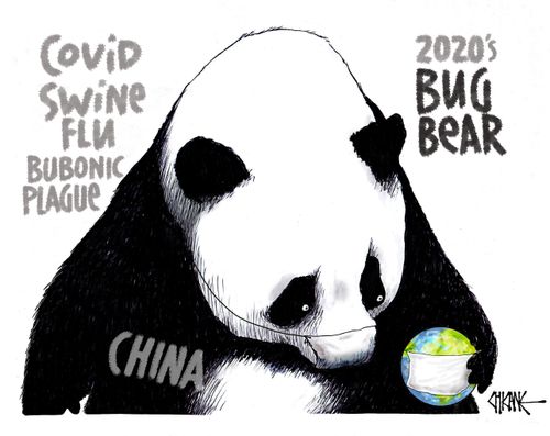 2020's Bug Bear