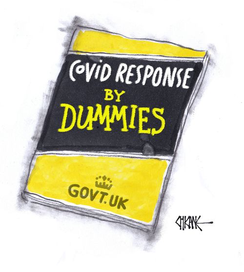 Covid Response by Dummies