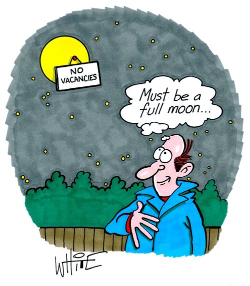 Must be a full moon...