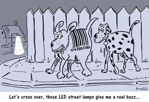 "Let's cross over, those LED street lamps give me a real buzz..."