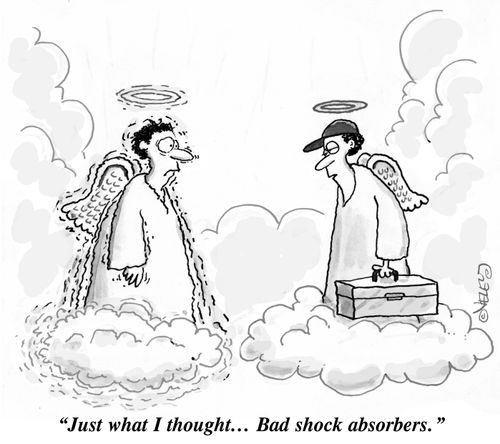 "Just what I thought... Bad shock absorbers."