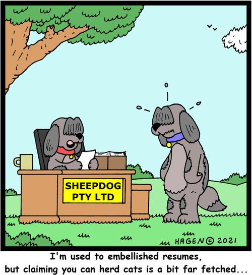 "I'm used to embellished resumes, but claiming you can herd cats is a bit far fetched..."
