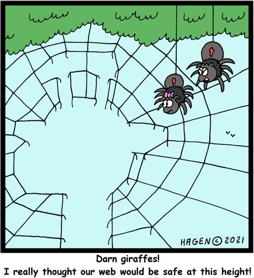"Darn giraffes! I really thought our web would be safe at this height."