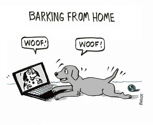 Barking From Home