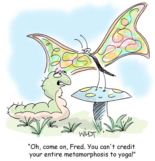 "Oh, come on, Fred. You can't credit your entire metamorphosis to yoga!"