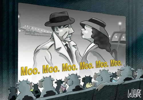 A night at the moovies