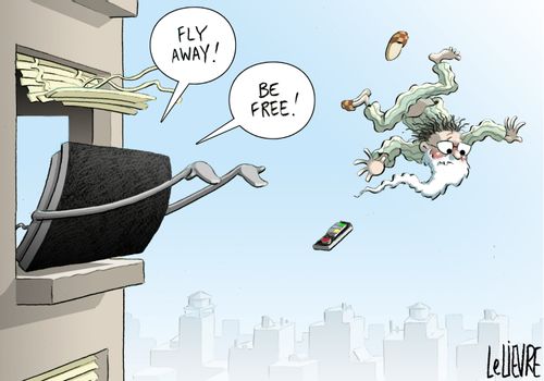 "Fly away! Be free!"