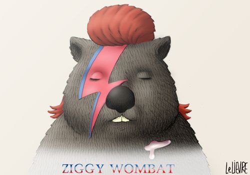 Ziggy Wombat