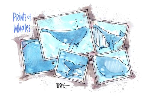 Prints of Whales