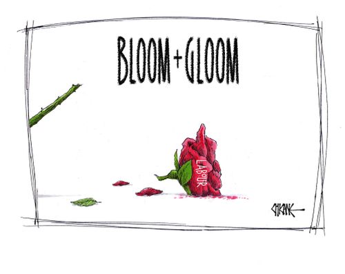 Bloom + Gloom