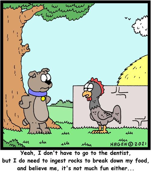 "Yeah, I don't have to go to the dentist, but I do need to ingest rocks to break down my food, and believe me, it's not much fun either. . ."
