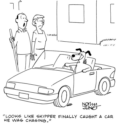 "Looks like skipper finally caught a car he was chasing."