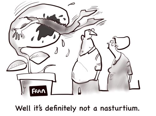 "Well it's definitely not a nasturtium."