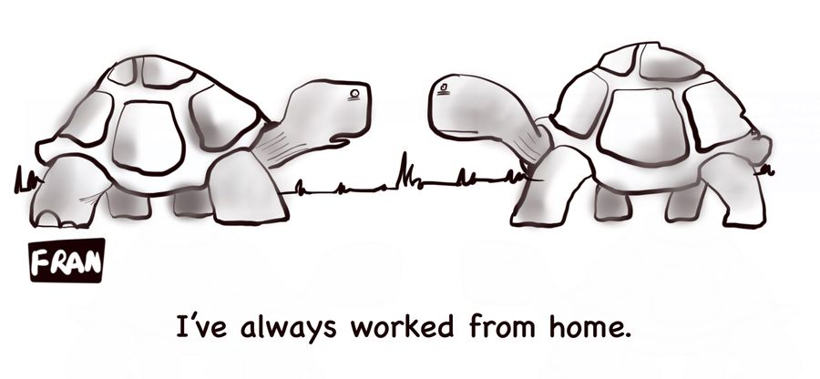 "I've always worked from home."