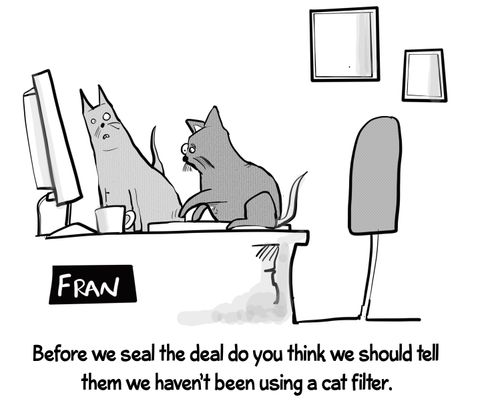 "Before we seal the deal do you think we should tell them we haven't been using a cat filter."