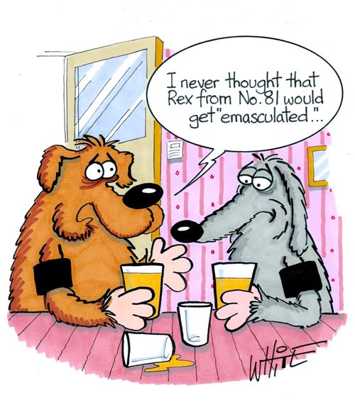 "I never thought that Rex from no. 81 wold get 'emasculated'..."