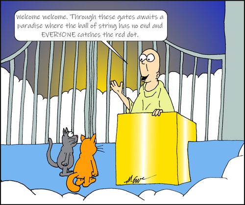 "Welcome welcome. Through these gates awais a paradise where the ball of string has no end and EVERYONE catches the red dot."