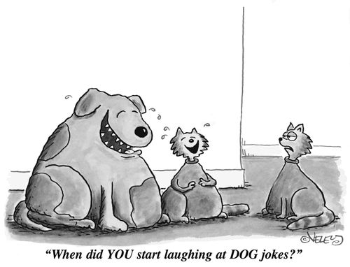 "When did you start laughing at DOG jokes?"