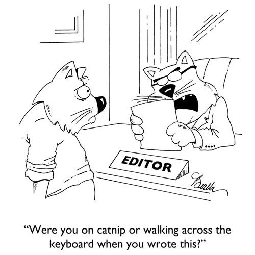 "Were you on catnip or walking across the keyboard when you wrote this?"
