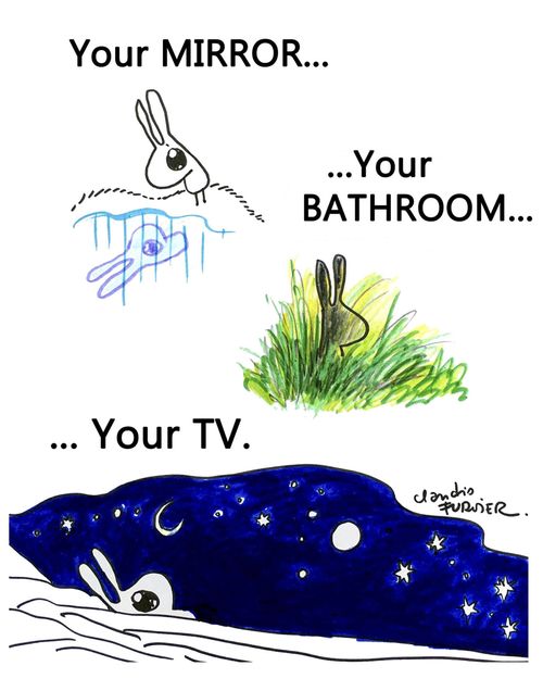 Your Mirror. . . Your Bathroom. . . Your TV.