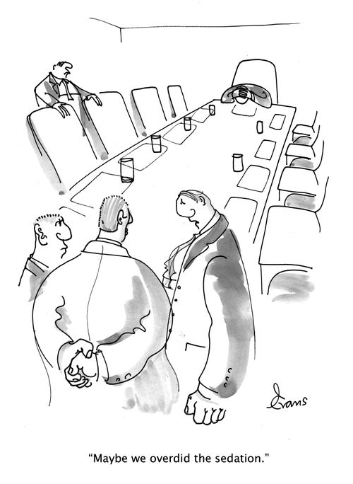 "Maybe we overdid the sedation."