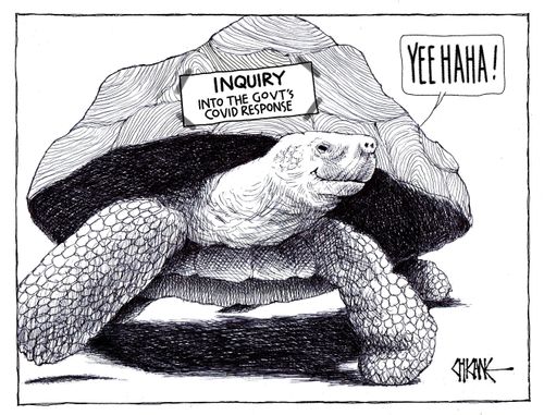 Inquiry into the Government's Covid Response