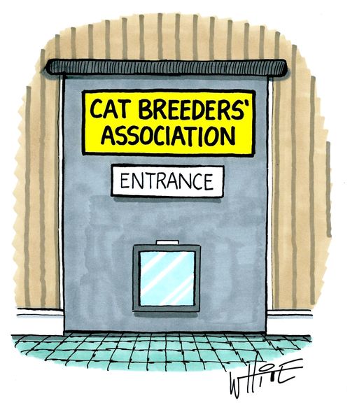 Cat breeders' association entrance