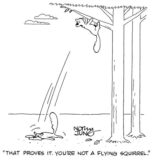 "That proves it. You're not a flying squirrel."