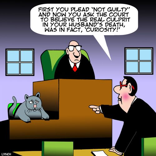 "First you plead 'Not Guilty' and now you ask the court to believe the real culprit in your husband's death, was in fact, 'curiosity!'"