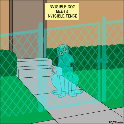 Invisible Dog Meets Invisible Fence