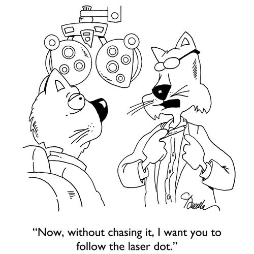 "Now, without chasing it, I want you to follow the laser dot."