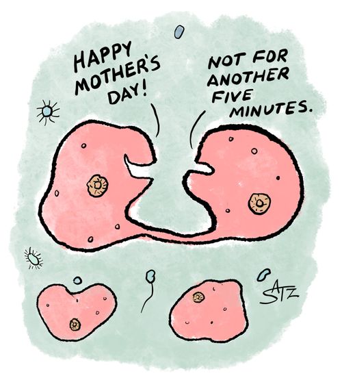 Happy Mothers Day