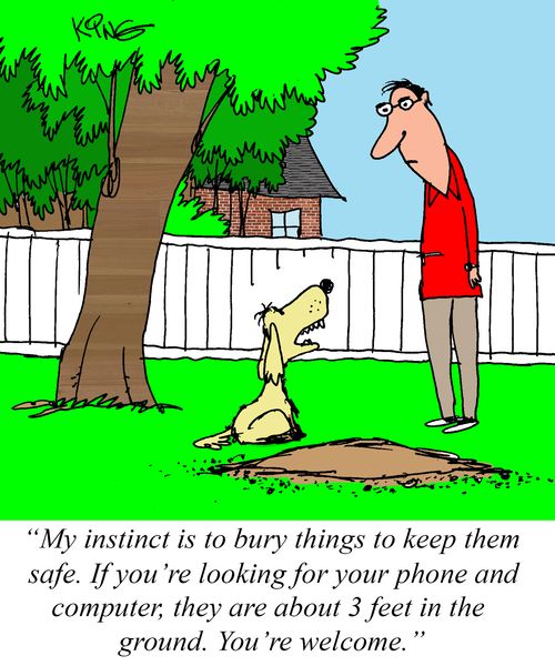 "My instinct is to bury things to keep them safe. If you're looking for your phone and computer, they are about 3 feet in the ground. You're welcome."