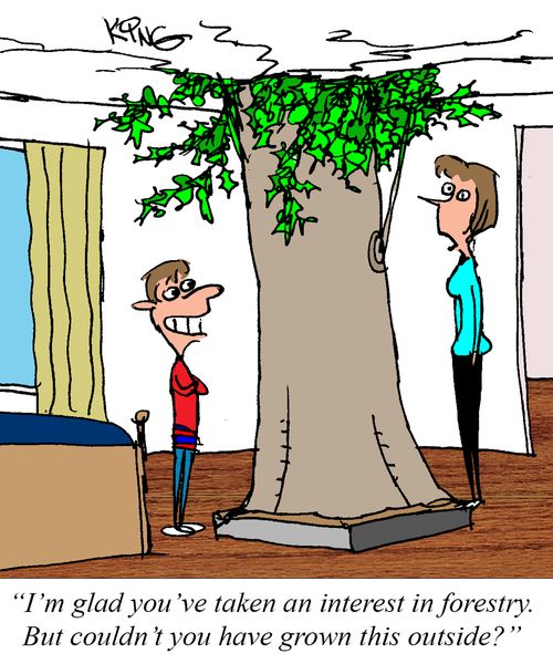 "I'm glad you've taken an interest in forestry. But couldn't you have grown this outside?"