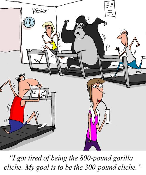 "I got tired of being the 800-pound gorilla cliche. My goal is to be the 300-pound cliche."