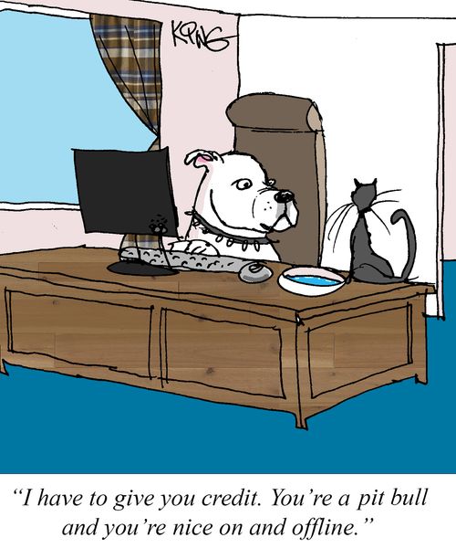 "I have to give you credit. You're a pit bull and you're nice on and offline."