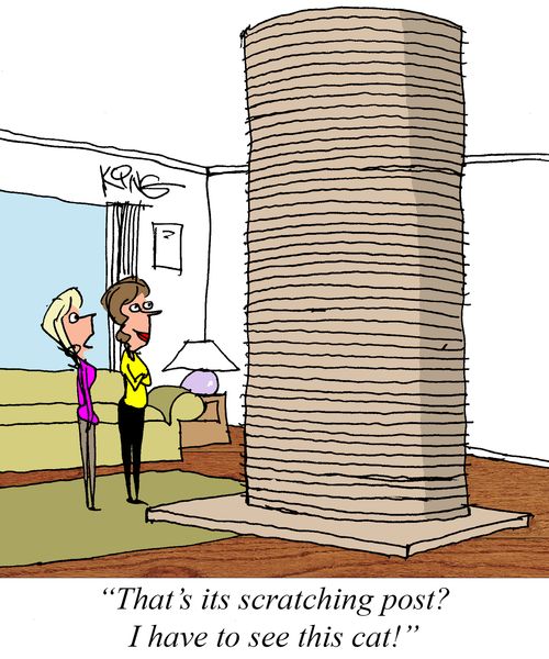 "That's its scratching post? I have to see this cat!"
