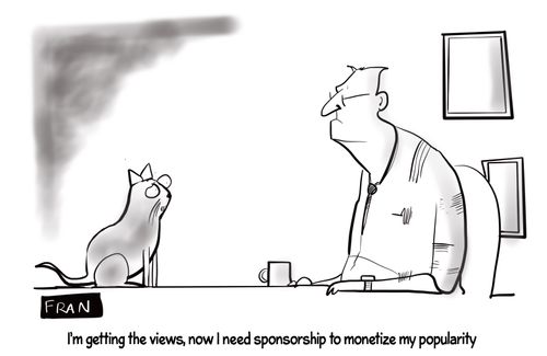 "I'm getting the views, now I need sponsorship to monetize my popularity."