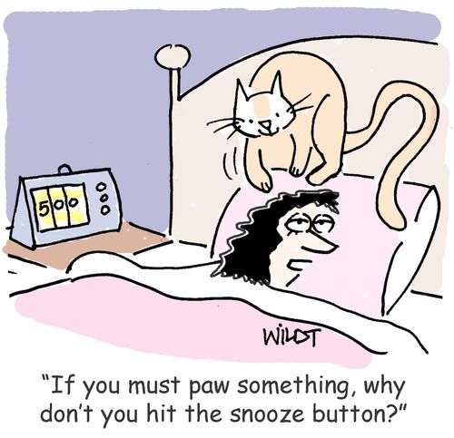 "If you must paw something, why don't you hit the snooze button?"