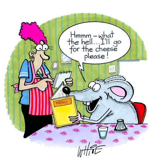 "Hmmm - what the hell. . . I'll go for the cheese please!"
