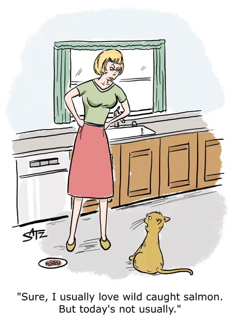 "Sure, I usually love wild caught salmon. But today's not usually."