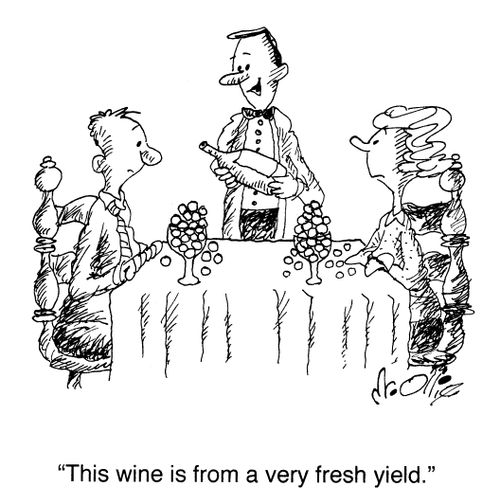 "This wine is from a very fresh yield."