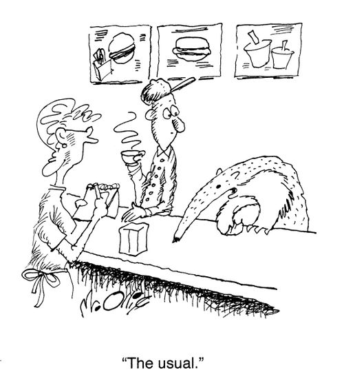 "The usual."