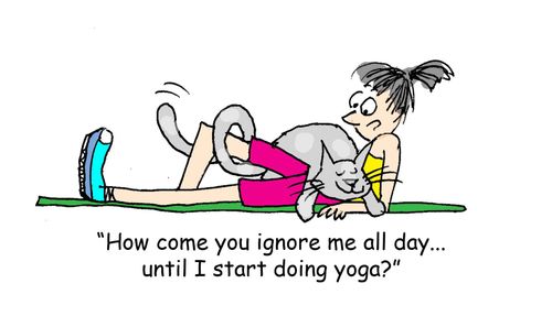 "How come you ignore me all day... until I start doing yoga?"