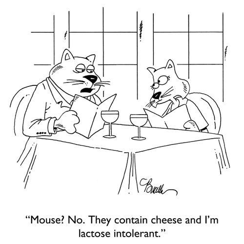 "Mouse? No. They contain cheese and I'm lactose intolerant."