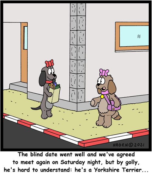 "The blind date went well and we've agreed to meet again on Saturday night, but by golly, he's hard to understand: he's a Yorkshire Terrier. . ."