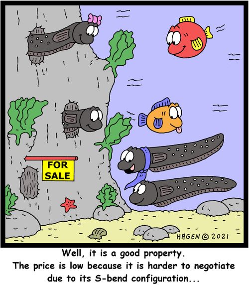 "Well, it is a good property. The price is low because it is harder to negotiate due to its S-bend configuration."