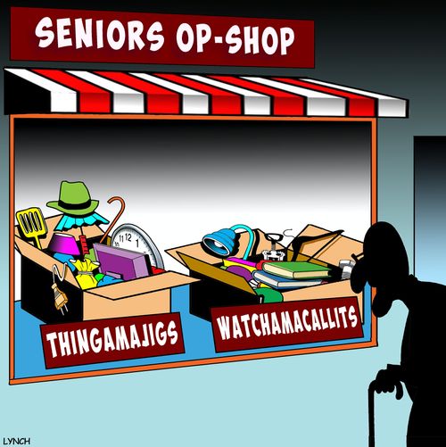 Seniors Op-Shop