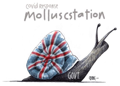 Covid Response: Molluscstation